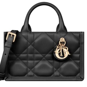 DIOR Mini Book Tote handbag 5573OWHP_M900_TU